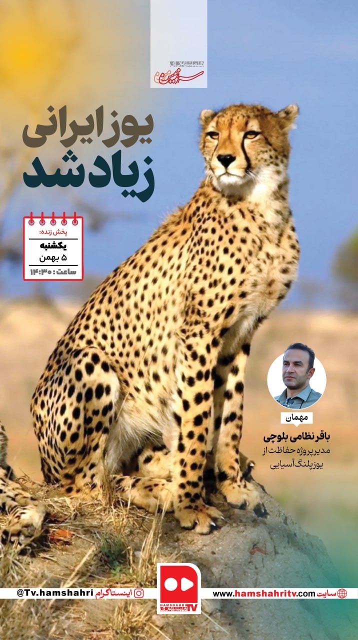 سرزمین من؛ یوز ایرانی زیاد شد